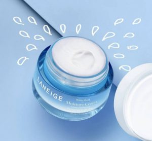 Kem dưỡng ẩm Laneige Water Bank Moisture Cream EX dành cho da khô và da thường