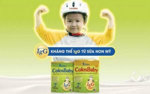 Giá sữa non Colosbaby chính hãng trên thị trường là bao nhiêu?
