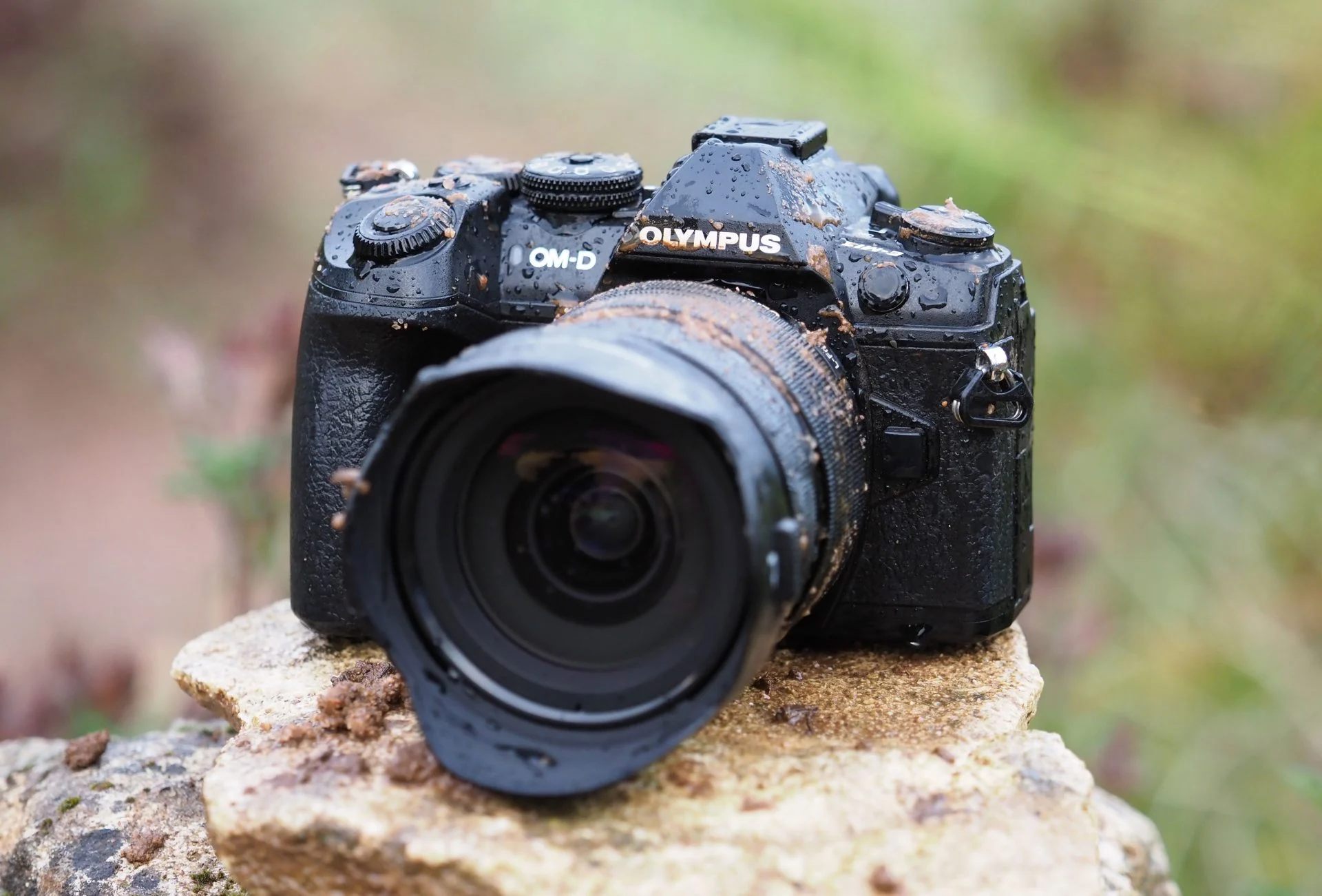 Top 5 máy ảnh Olympus dành cho nhiếp ảnh gia chuyên nghiệp