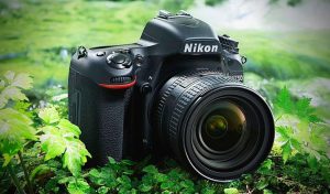 Máy ảnh Nikon D750